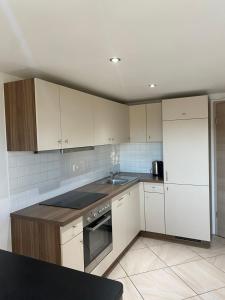 Kuhinja oz. manjša kuhinja v nastanitvi Apartmaji Paletino
