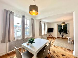 TV a/nebo společenská místnost v ubytování Business Apartment ZIMMERzuVERMIETEN in Solothurn