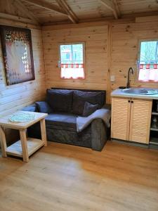 a living room with a couch and a sink at Domki na Kociewiu Pati in Skarszewy +33 photos