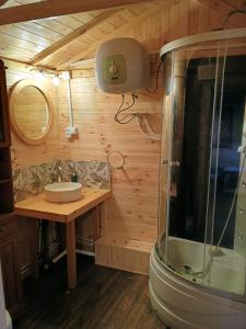 a small bathroom with a sink and a shower at Domki na Kociewiu Pati in Skarszewy