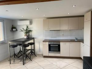 Kuhinja oz. manjša kuhinja v nastanitvi Apartmaji Paletino