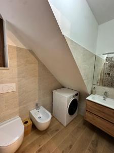 a bathroom with a toilet and a sink and a washer at La dimora di d Angiò 1 in Faeto