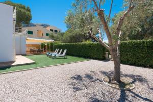 ein Baum mitten auf einem Kiesplatz in der Unterkunft Can Roig -Caldes- in Colònia de Sant Pere