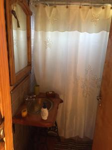 a bathroom with a sink and a shower curtain at Cabanas Peumahue in Villa Meliquina