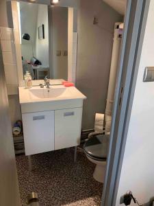a bathroom with a sink and a toilet and a mirror at Studio proche gare centre ville au calme côté cour in Orléans