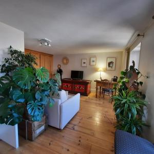 a living room filled with lots of plants at La Renardière in Reichshoffen