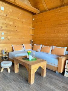a living room with a couch and a coffee table at Bird of Paradise in Belgrade +15 photos