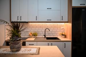 Kuchyň nebo kuchyňský kout v ubytování EGJE Apartment