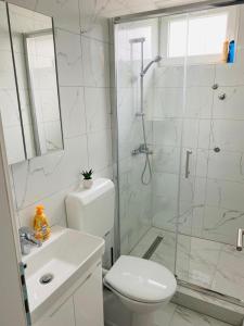 a bathroom with a shower and a toilet and a sink at D&B Apartment in Brčko