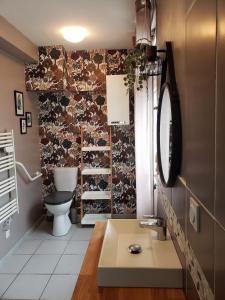 a bathroom with a toilet and a sink and a mirror at Jolie maison 5 chambres 20 pers in La Tranche-sur-Mer