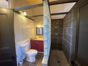 a small bathroom with a toilet and a shower at Trinity's Oceanview Gem 2BR St Paul's Schoolhouse in Trinity