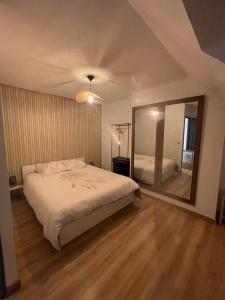 a bedroom with a large bed and a large mirror at La Maison de Cristina Michael in Blois