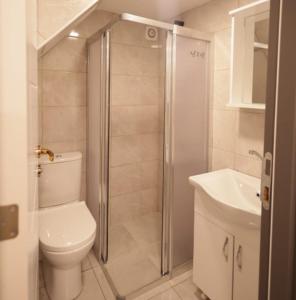 a bathroom with a shower and a toilet and a sink at Pekin Spa and Suites in Istanbul