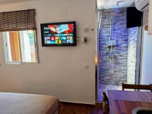 TV a/nebo společenská místnost v ubytování Apartamento Estudio Terraza Privada