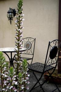 Κήπος έξω από το Fabulous High Street Townhouse With Stunning Views & Parking at 'Eagles Nest'