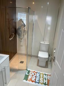 a bathroom with a shower with a toilet and a rug at Mountain View in Kenfig Hill +16 photos