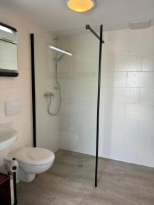 ein Badezimmer mit Toilette und Duschkabine in der Unterkunft Sylvias Ferienwohnung Nr7 DG in Görlitz