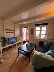 a living room with a couch and a coffee table at Local small apartment near the beach in Kristiansand