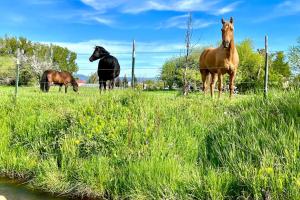 Foto dalla galleria di Hillside Farm’s Cottages a Paris
