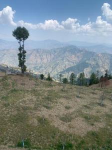 Fotografie z fotogalerie ubytování The Beer Castle v destinaci Kufri