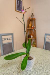 Fotografie z fotogalerie ubytování Guest House BALU v destinaci Kutaisi
