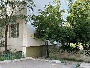 a building with a tree on the side of it at Mickey central hostel in Ulaanbaatar +28 photos