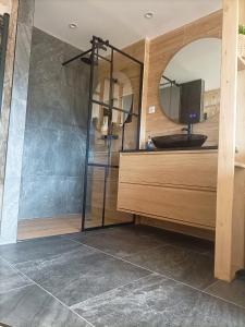 a bathroom with a shower with a sink and a mirror at L'Eden in Gréolières +39 photos