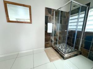a bathroom with a shower with a window and a mirror at Kilimanjaro Lodge in Johannesburg