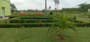 Zahrada ubytování Hotel Olivia and Resort