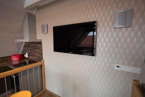 TV a/nebo společenská místnost v ubytování Stietz-Villa