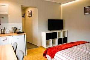 a room with a bed and a flat screen tv at Apartamenty Akacjowa przy Parku Szwedzkim in Szczawno-Zdrój