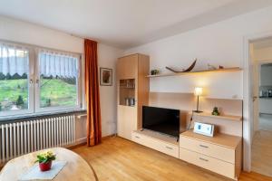 TV a/nebo společenská místnost v ubytování Haus Am Schroffen
