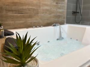 Gallery image of La Suite Secrète in Amiens