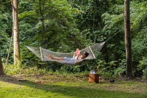 Zahrada ubytování Perch Cottages #3 - Mountain Views, Sauna, Private Creek Access