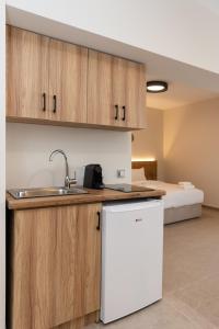 Il comprend une cuisine équipée d'un évier et d'un réfrigérateur. dans l'établissement Nexus Apartments, à Thessalonique