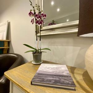 a book on a table with a plant on it at Hotel Solara in Nice