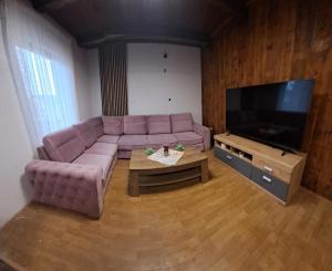 a living room with a couch and a flat screen tv at Dedin dvorac in Valpovo
