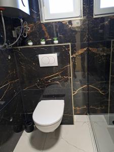 a bathroom with a toilet and a black marble wall at Dedin dvorac in Valpovo +9 photos