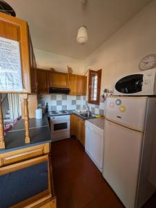 a kitchen with a white refrigerator and wooden cabinets at VILLA DOLPHIN VOTSI in Votsi