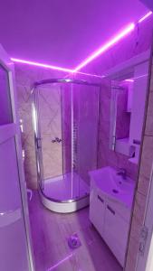 Koupelna v ubytování Apartman Dragićević - Stan na dan + 9 fotografií