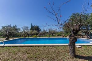 a swimming pool in a park with a tree at Innouthome Casa Rural_el Nostre Cantir in L'Ametlla de Mar +48 photos