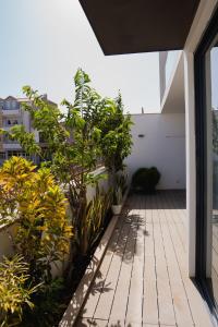 Afbeelding uit fotogalerij van Kriol Guest House in Praia +29 foto's