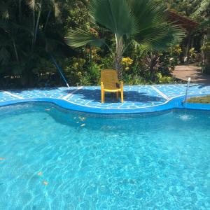Swimming pool sa o malapit sa Hotel Ometepetl