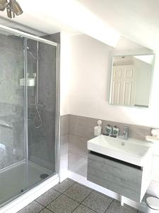 a bathroom with a white sink and a shower at West Street Mews - Serviced Accommodation in Exeter