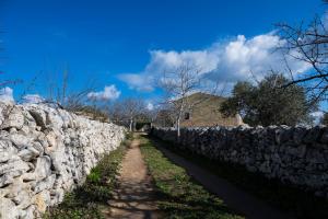 Φυσικό τοπίο κοντά σε αυτό το κατάλυμα σε φάρμα