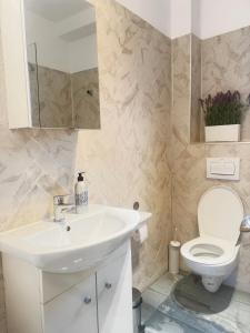 Ένα μπάνιο στο Otopeni Studio C2 4 Airport Therme +12 φωτογραφίες