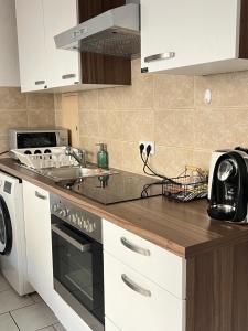 a kitchen with a sink and a stove at Homestay Benzi in Erfurt
