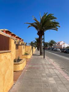a sidewalk with a palm tree next to a street at Ventura Beach by Best Holidays Fuerteventura in Corralejo