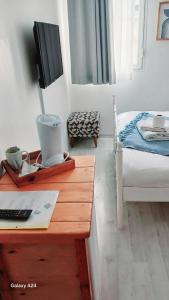 TV a/nebo společenská místnost v ubytování merih butik hotel