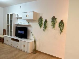 a living room with a tv and plants on the wall at White-Moon in Baena +6 photos